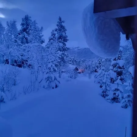 Holiday home Mountain Bjorli, Lesja Bjorli
