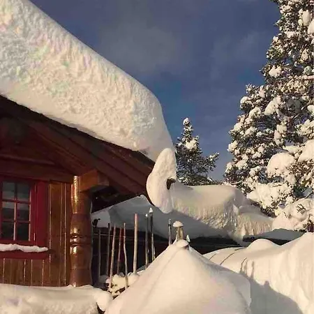 Mountain Bjorli, Lesja Holiday home *