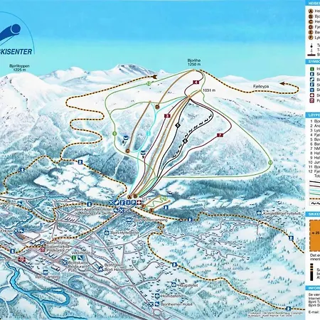Mountain Bjorli, Lesja Holiday home *