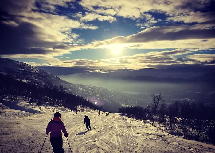 Cabin, Kristianplass At Bjorli, Lesja Dom wakacyjny *